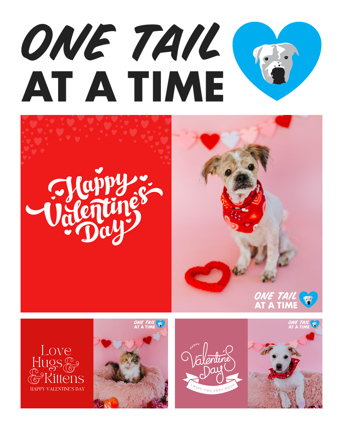 Valentine’s Day eCards from a nonprofit digital fundraising campaign for an animal shelter