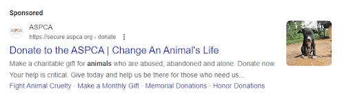 A Google Ad for the ASPCA, representing an effective digital fundraising idea