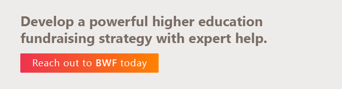 Develop a powerful higher education fundraising strategy with expert help. 