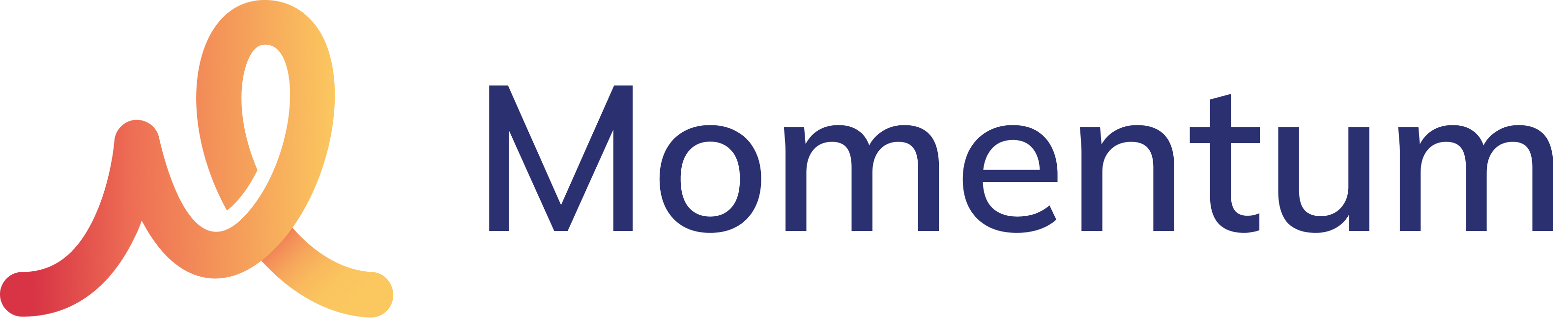 Momentum