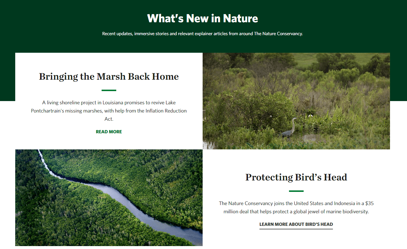 Blog posts on the Nature Conservancy’s website that are optimized for donor engagement