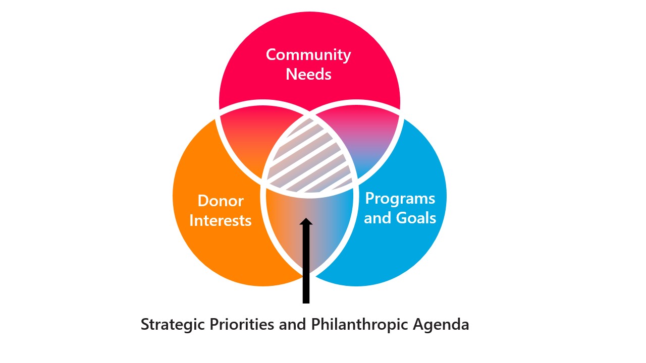 Strategic Priorities and Philanthropic Agenda