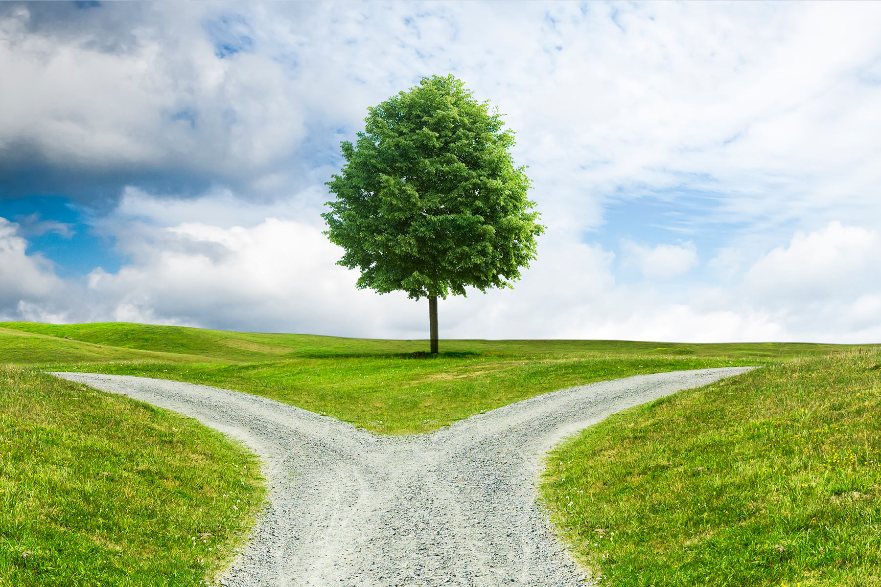 Philanthropy as a Strategic Revenue Stream